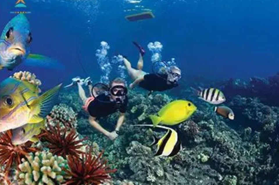 Snorkeling Trip at Hamata Islands From Marsa Alam Start from $89